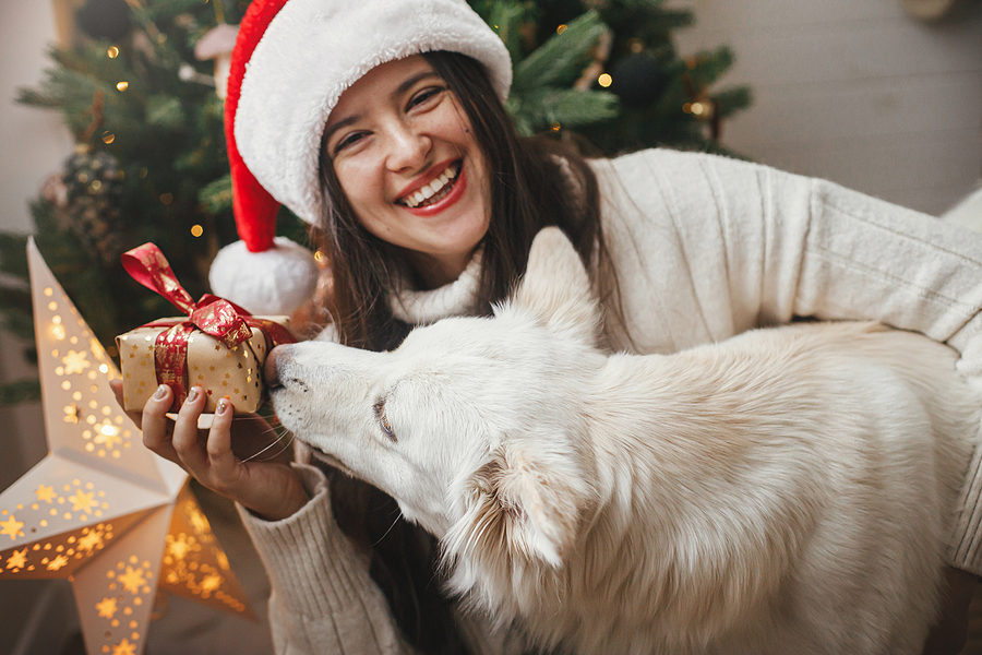 Why Visit Your Dentist in December?
